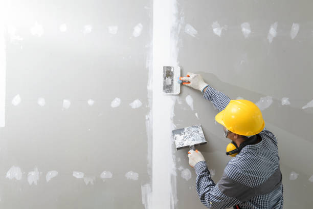 Mold Removal for HVAC Installations